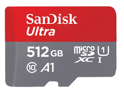 SanDisk 256GB (Recommended)
